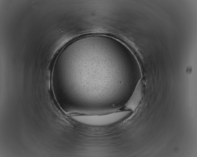 X0000089951171200707131509