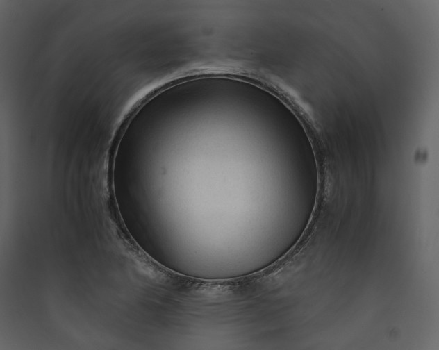 X0000089951174200707131509