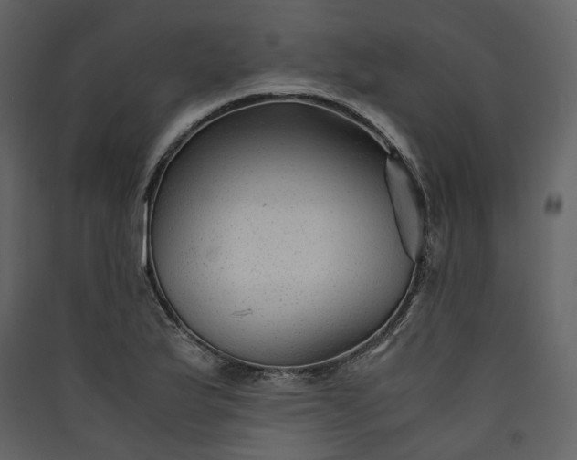 X0000089951175200707131509