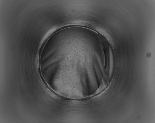 X0000089951180200707131509