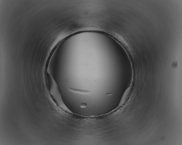 X0000089951181200707131509
