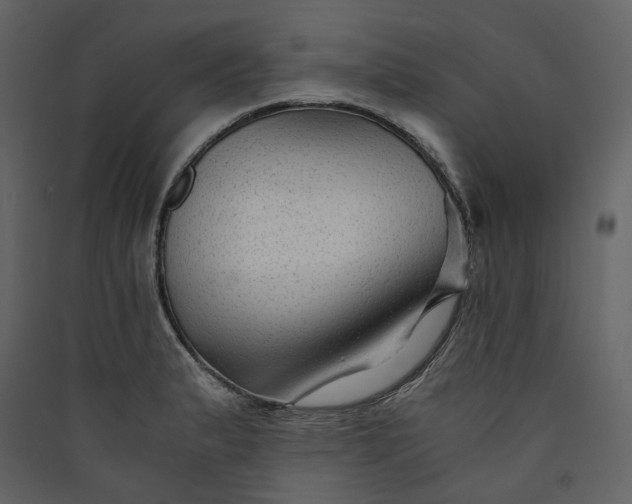 X0000089951183200707131509
