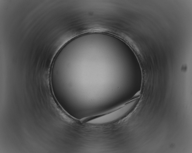 X0000089951186200707131509