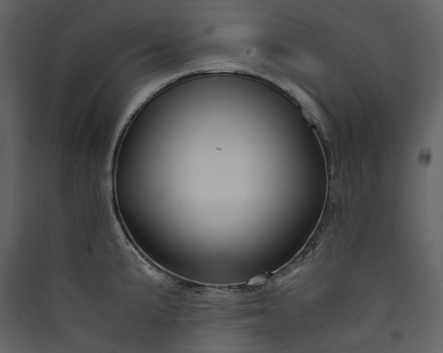 X0000089951191200707131509