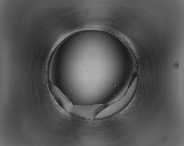 X0000089951192200707131509