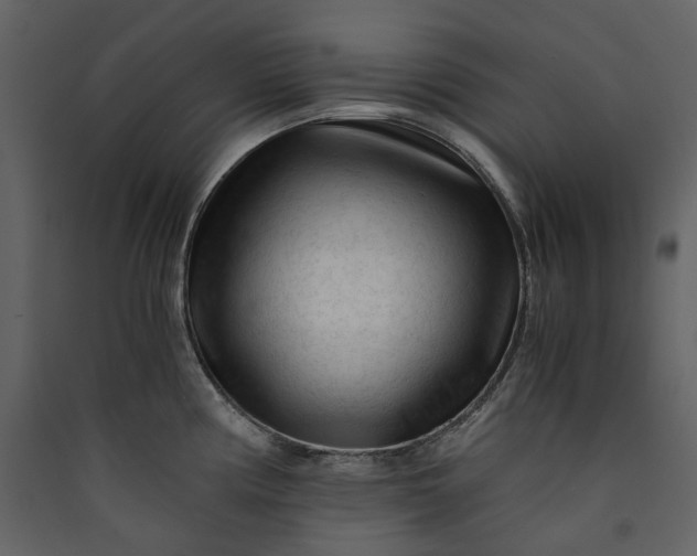X0000089951194200707131509