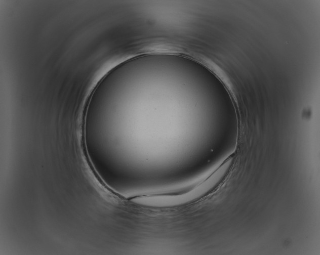 X0000089951195200707131509