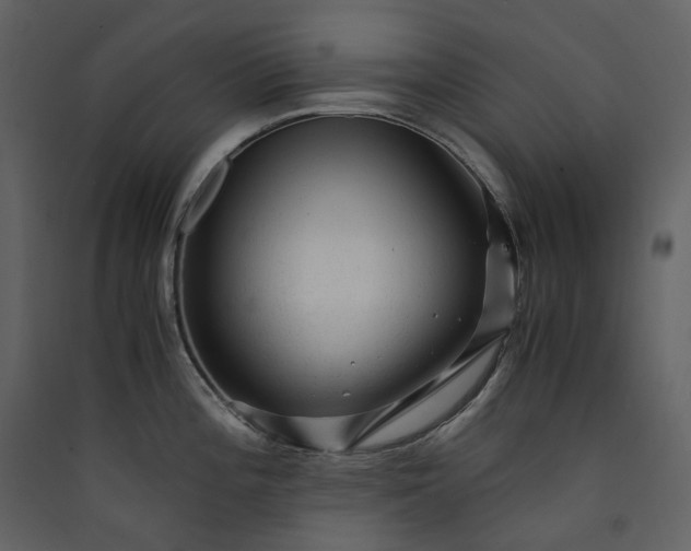 X0000089951196200707131509