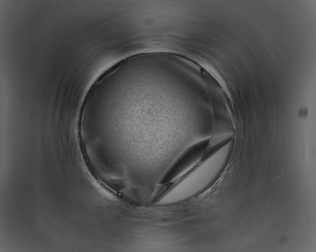 X0000089951197200707131509