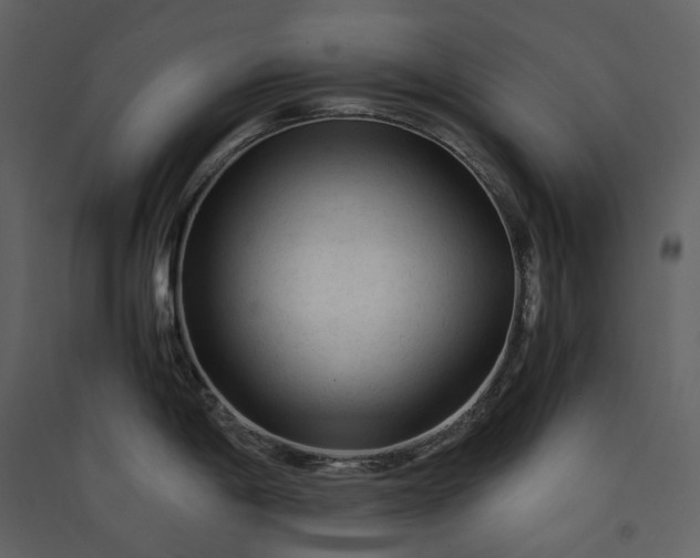 X0000089951198200707131509