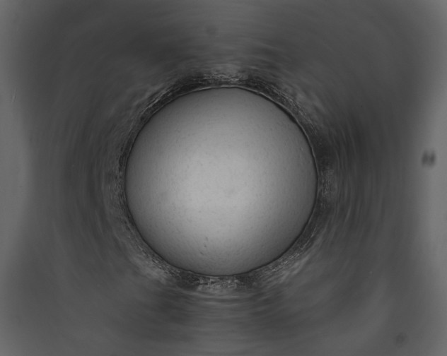 X0000089951201200707131508