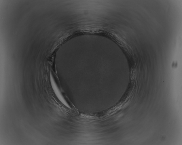 X0000089951202200707131508
