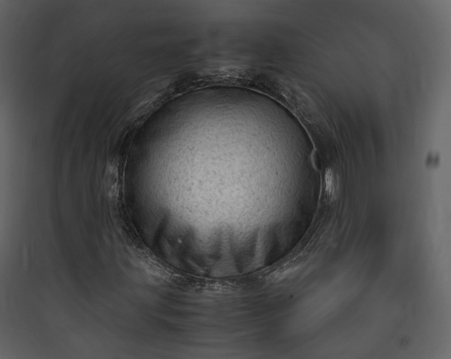 X0000089951203200707131508