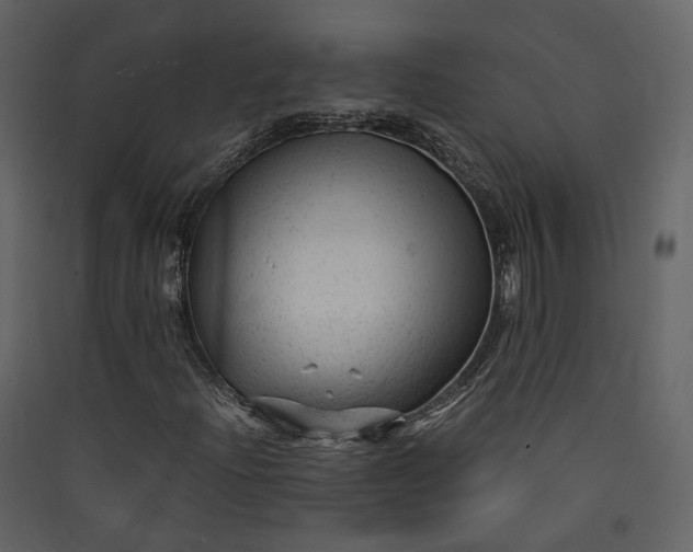 X0000089951204200707131508