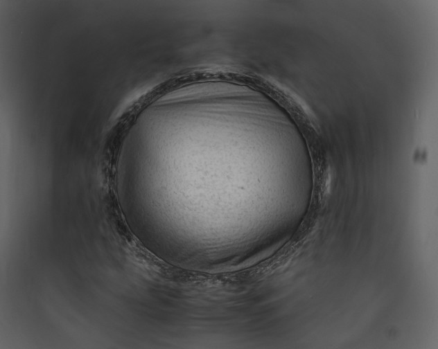 X0000089951207200707131508