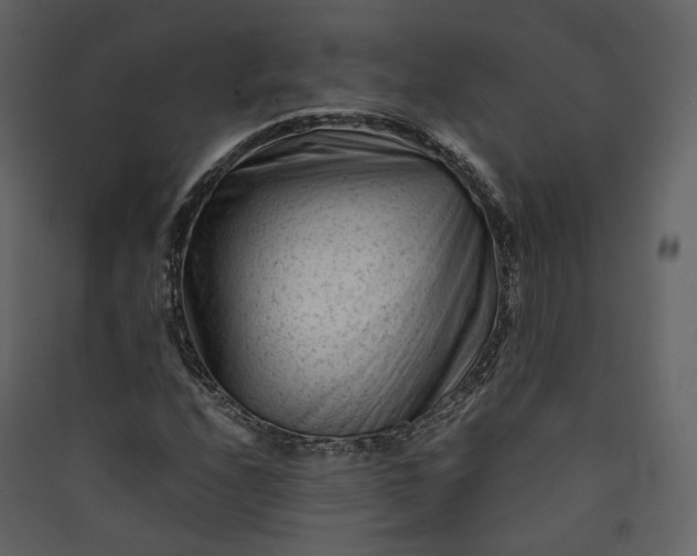 X0000089951208200707131508