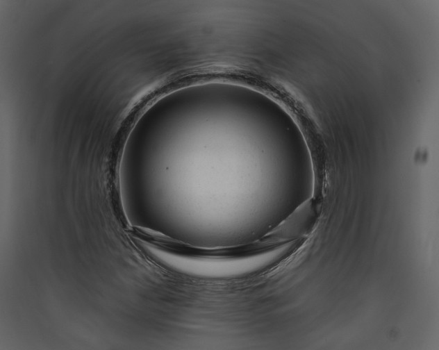 X0000089951210200707131508