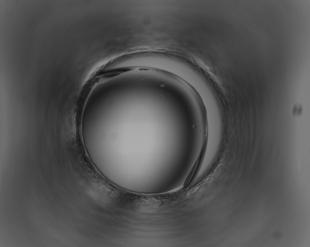 X0000089951214200707131508