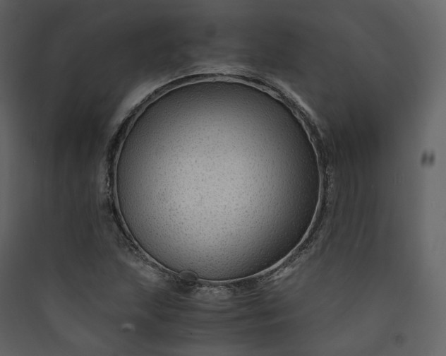 X0000089951215200707131508