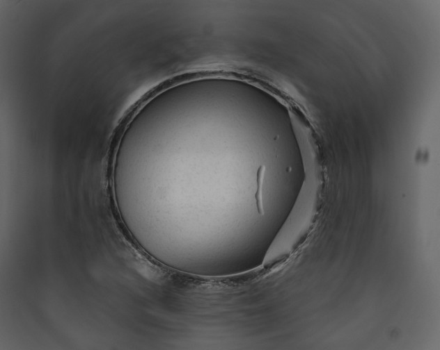 X0000089951216200707131508