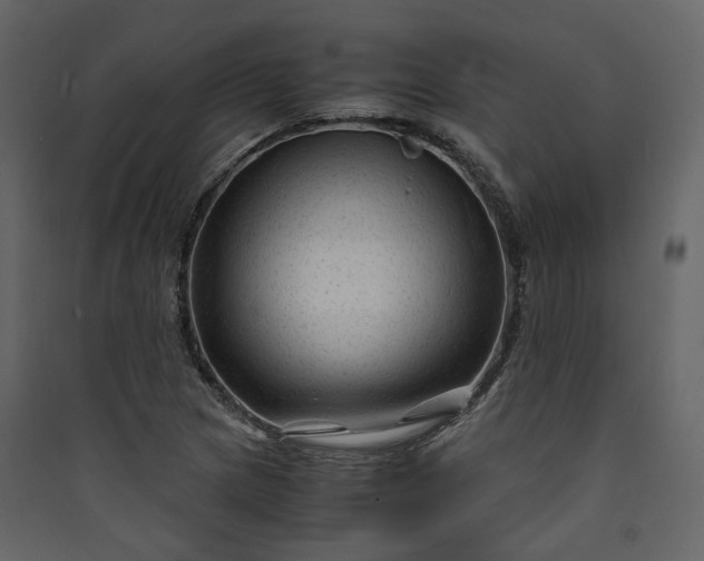 X0000089951217200707131508