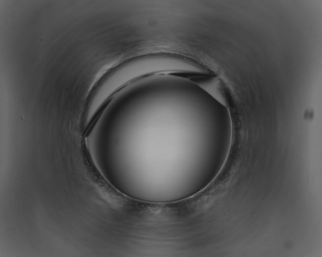 X0000089951218200707131508