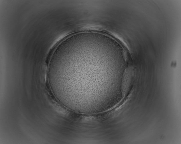 X0000089951219200707131508