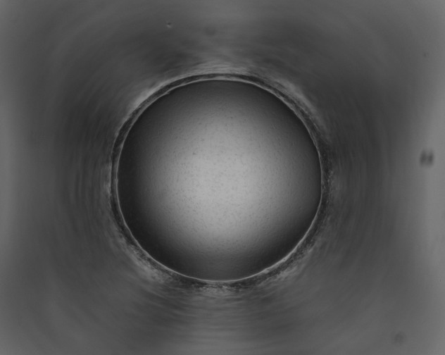 X0000089951220200707131508