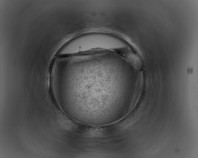 X0000089951221200707131508