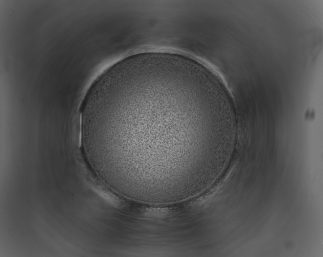 X0000089951223200707131508