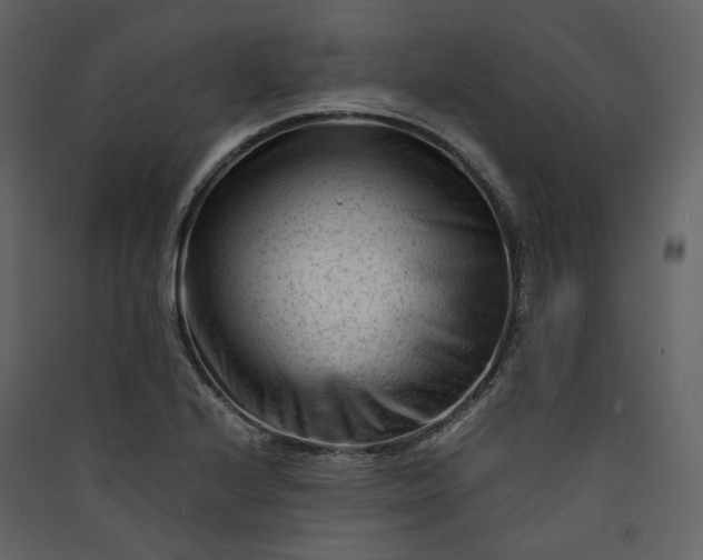 X0000089951224200707131508