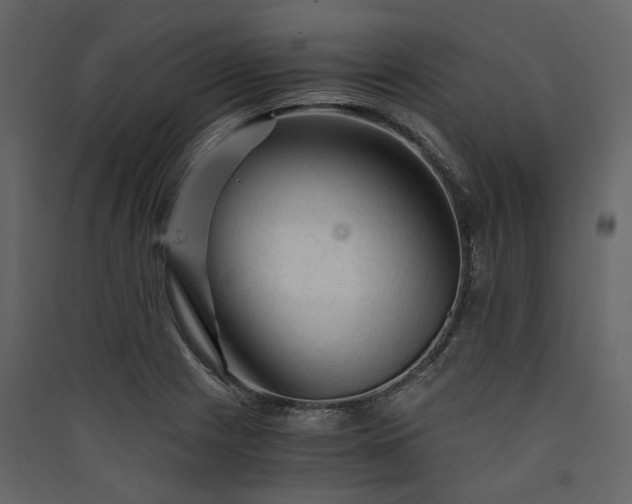 X0000089951225200707131508