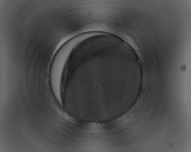 X0000089951226200707131508