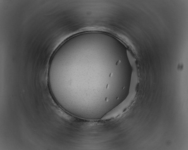 X0000089951228200707131509