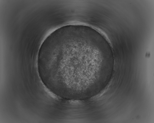 X0000089951231200707131509