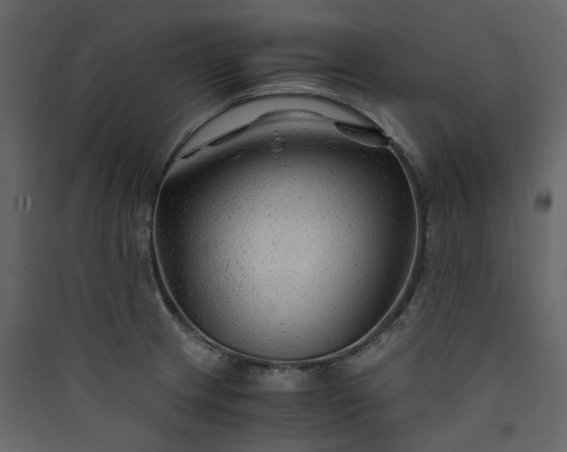 X0000089951233200707131509