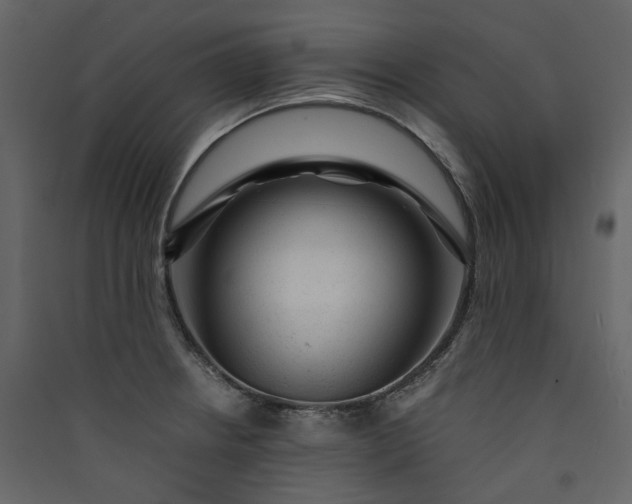 X0000089951234200707131509