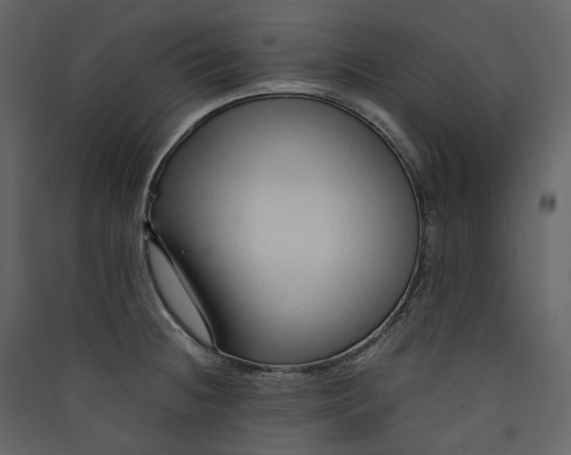 X0000089951236200707131509