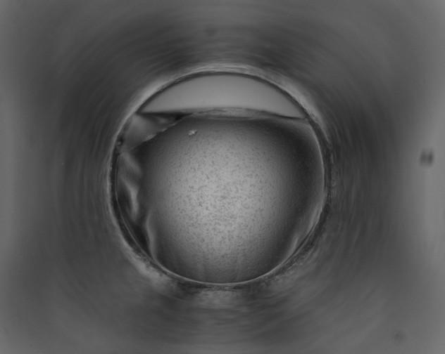 X0000089951237200707131509