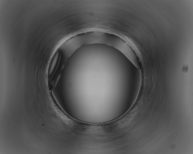 X0000089951238200707131509
