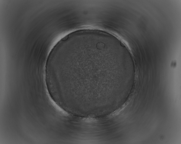 X0000089951239200707131509