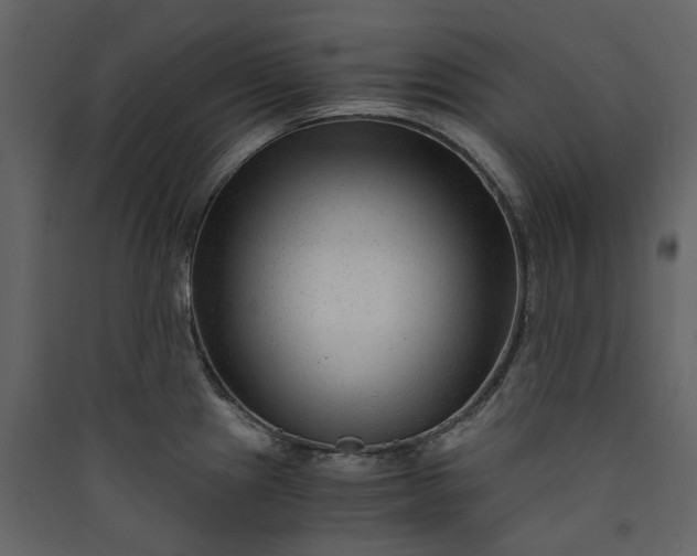 X0000089951241200707131509