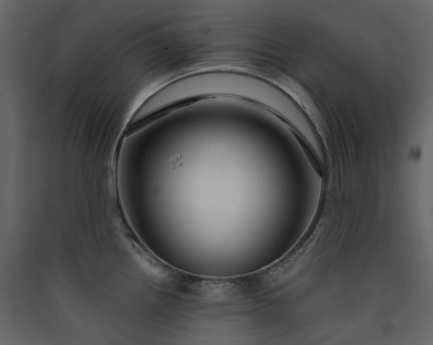 X0000089951242200707131509