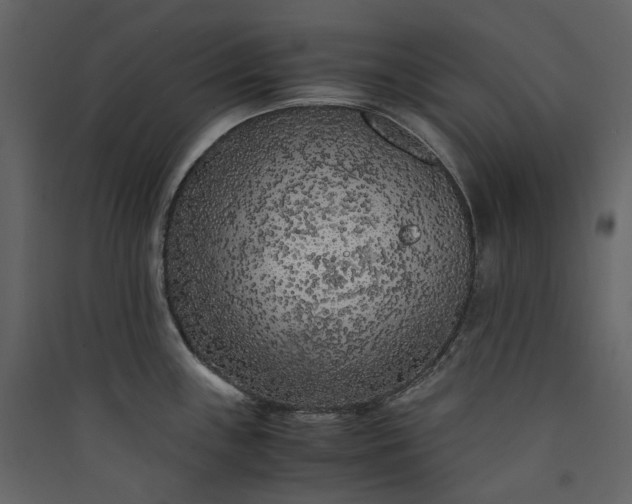 X0000089951243200707131509