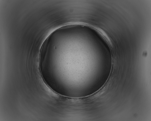 X0000089951244200707131509