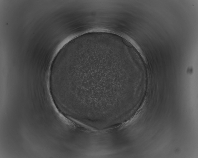X0000089951245200707131509