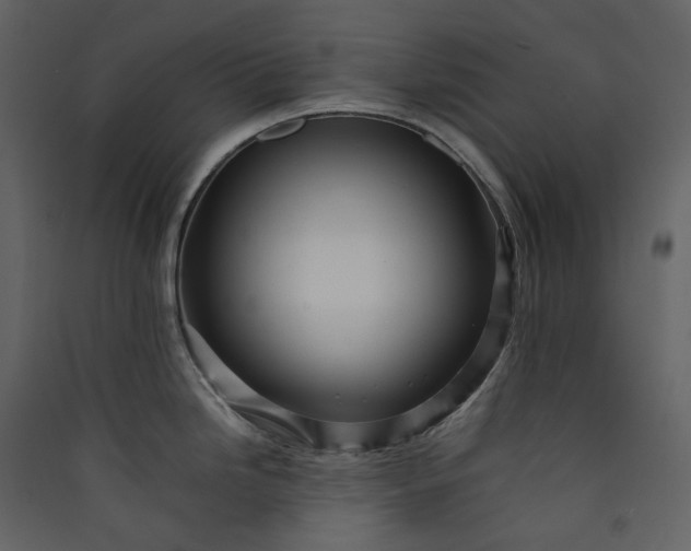 X0000089951246200707131509