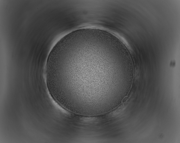 X0000089951247200707131509