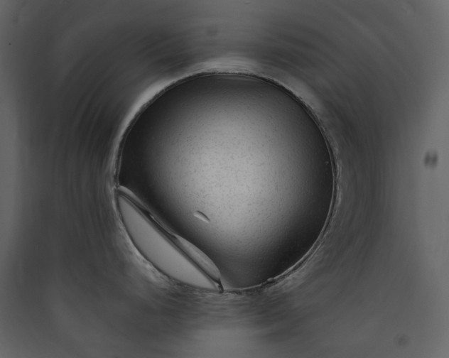 X0000089951248200707131509