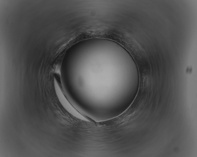 X0000089951250200707131508